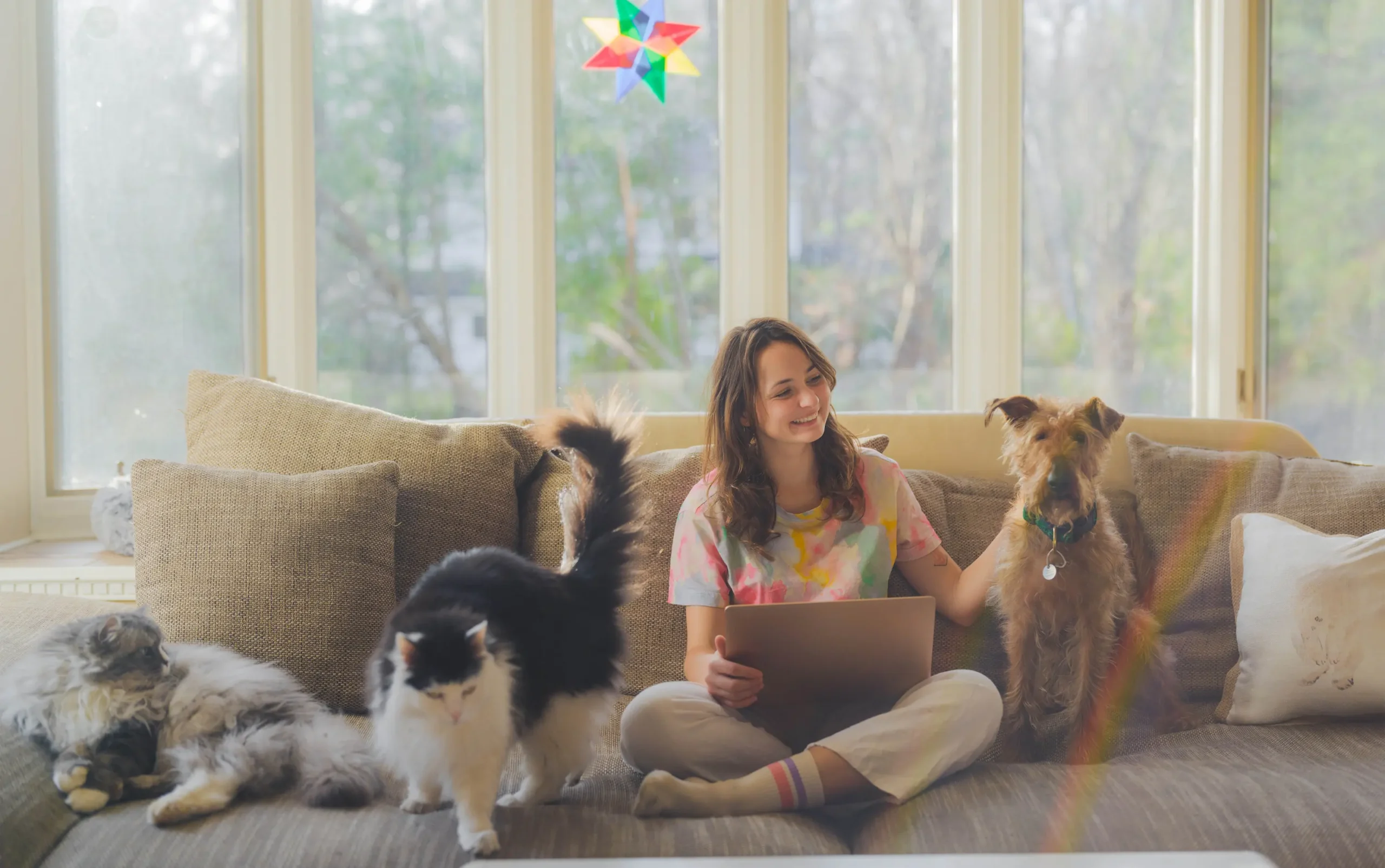 Free Course: Why Metabolic Health Matters