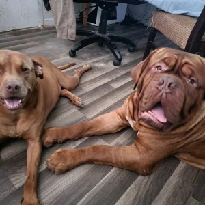 Sara_Ragnar (& Chumba) (1)